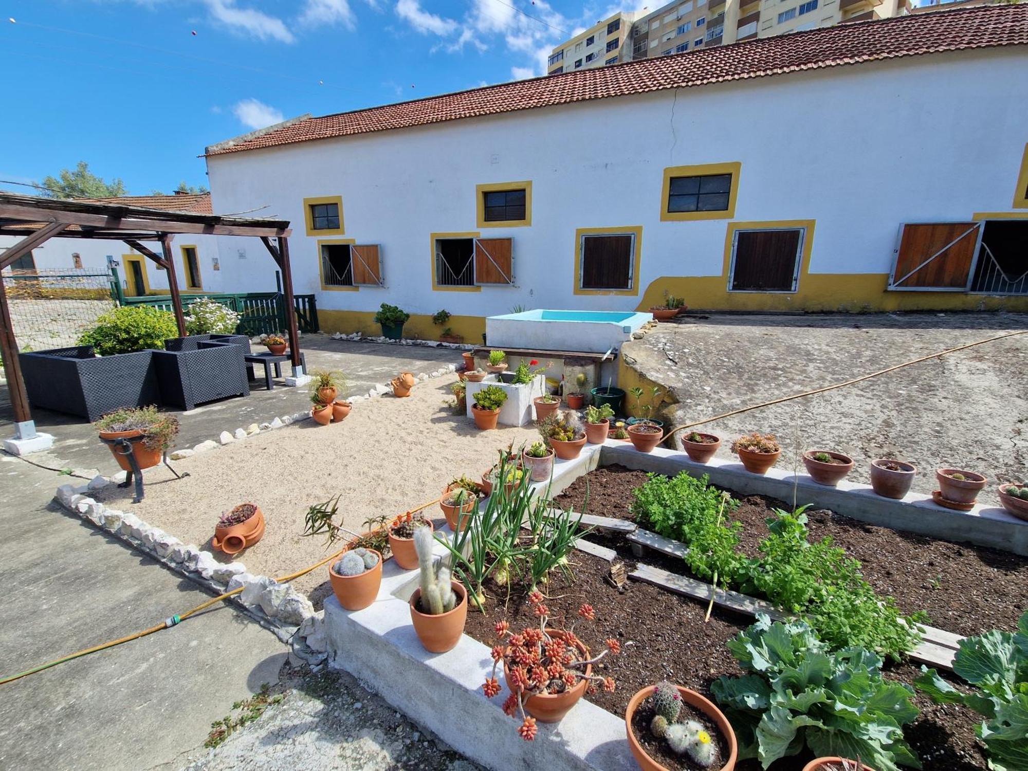 Horse Riding Country House Vila Franca de Xira Exteriér fotografie