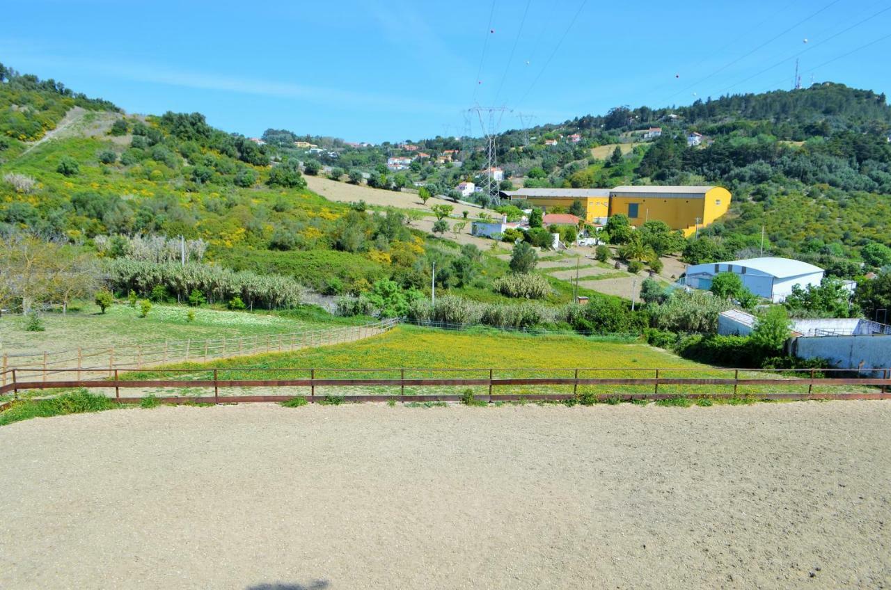 Horse Riding Country House Vila Franca de Xira Exteriér fotografie
